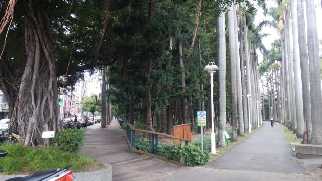 台南公園の散策路